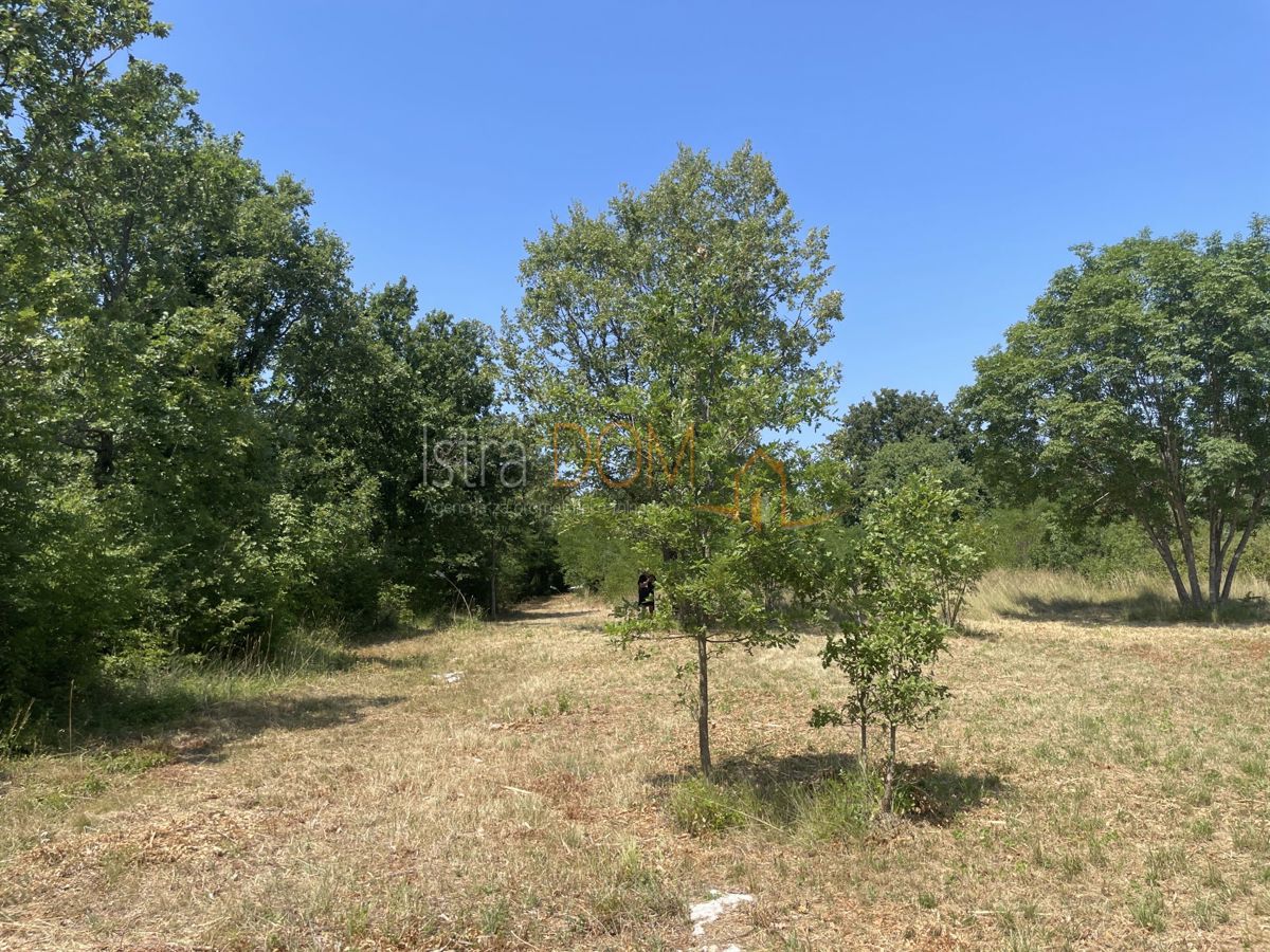 Terreno MARČANA, 21.000 €