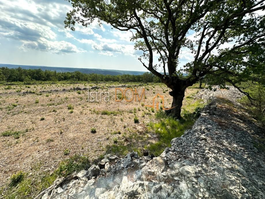 STANIŠOVI