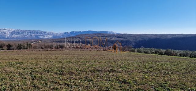 PIĆAN