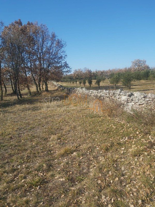 SMOLJANCI