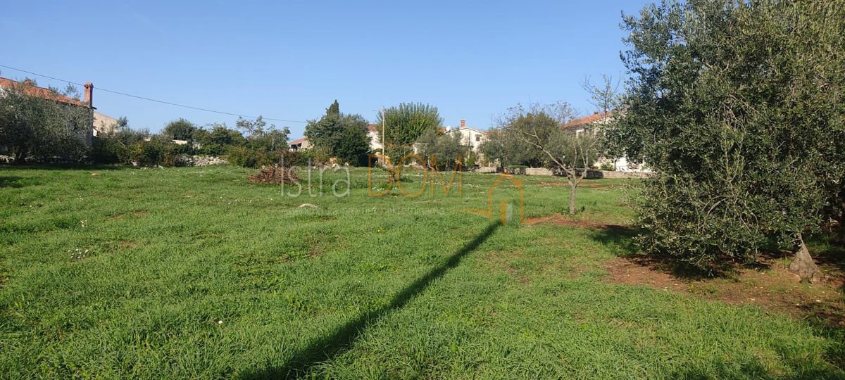 ŠEGOTIĆI