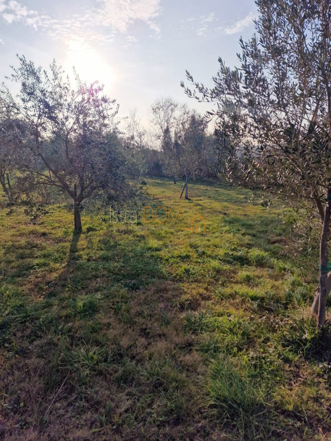Terreno LIŽNJAN, 195.000 €