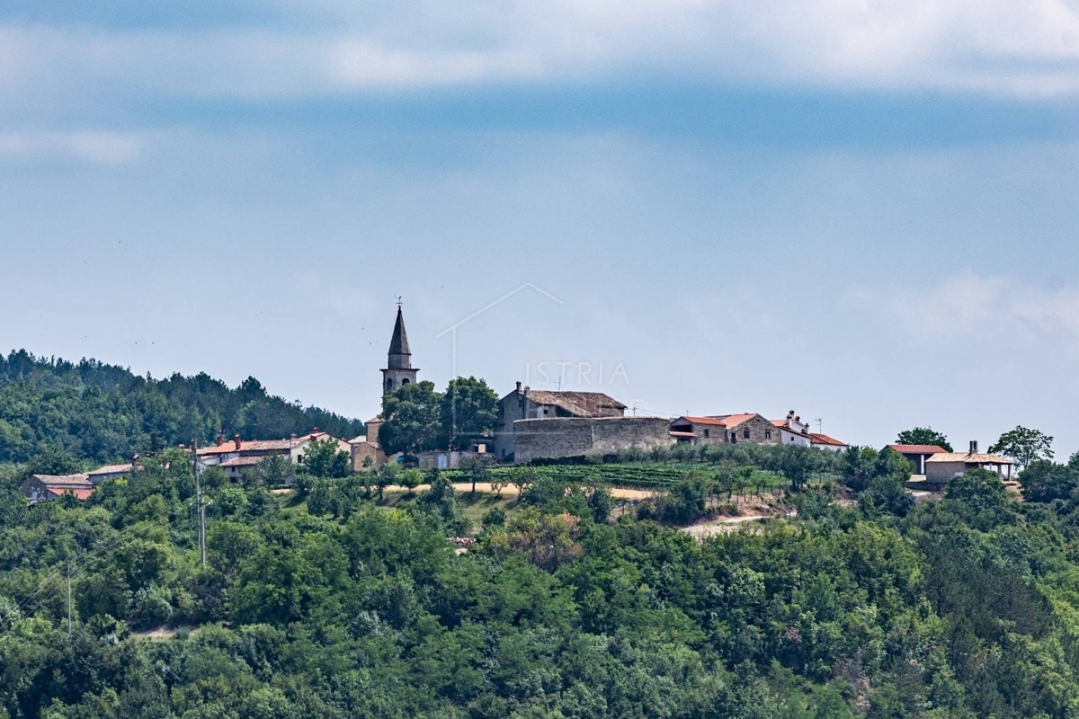 image 25