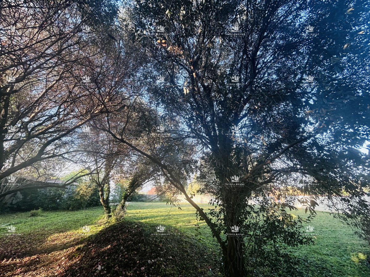 SVETA MARIJA NA KRASU