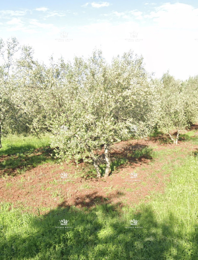 Pozemek Materada – 3
