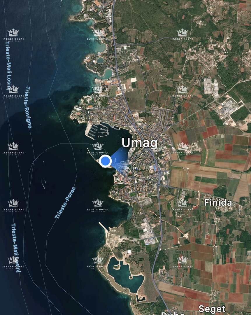 UMAG