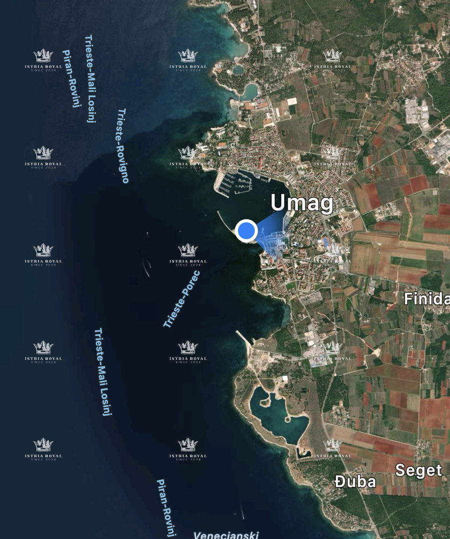 UMAG
