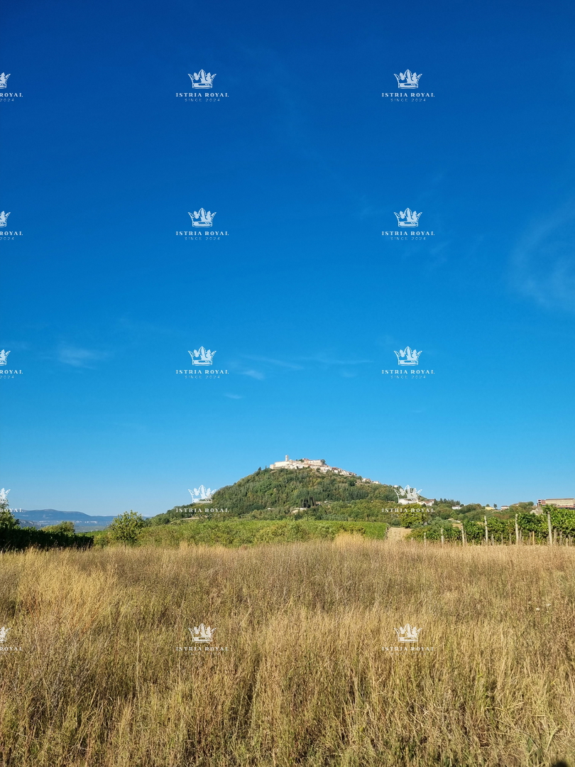MOTOVUN