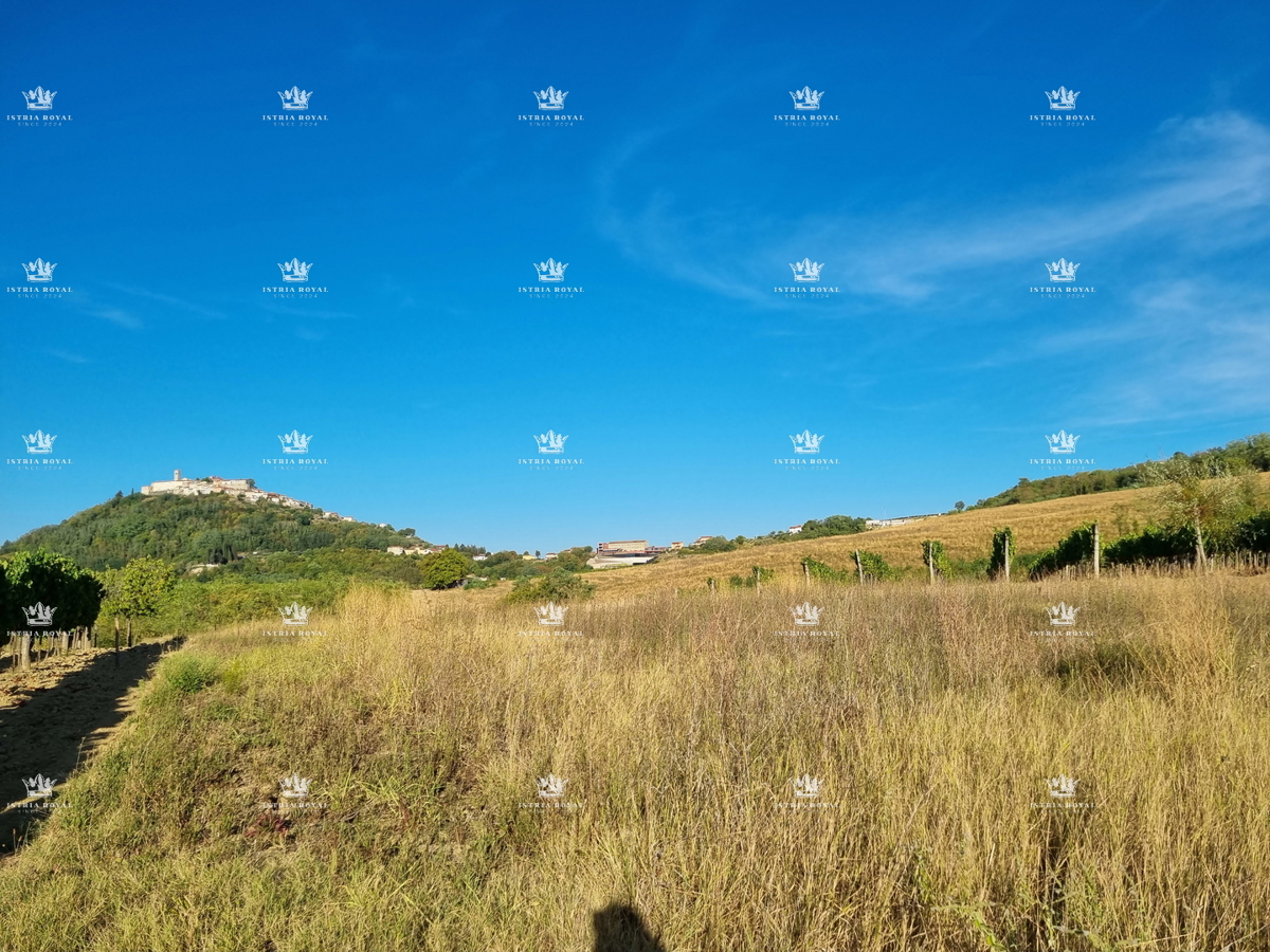 MOTOVUN