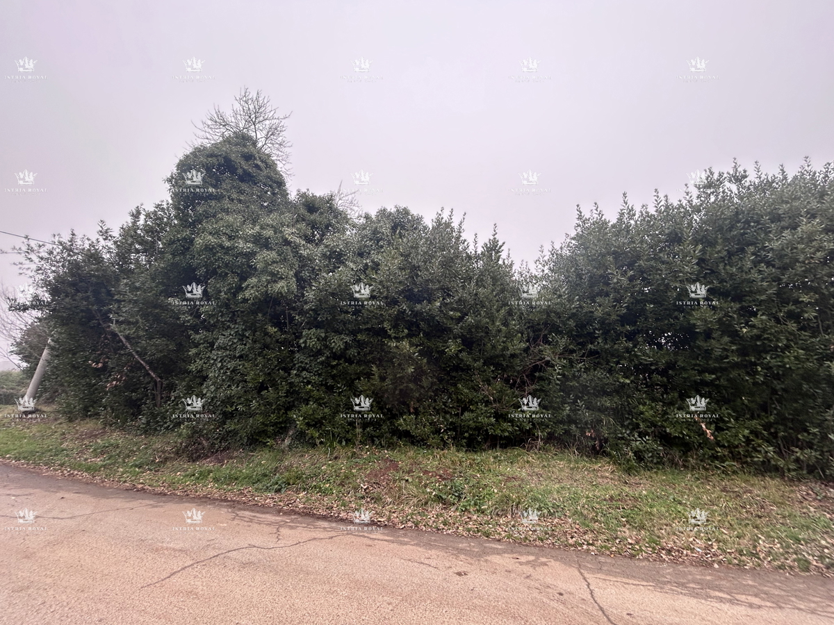 Terreno UMAG, 76.700 €