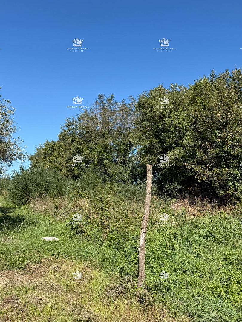 Istra, Lovrečica, landwirtschaftliches Grundstück 797 m2, – 2