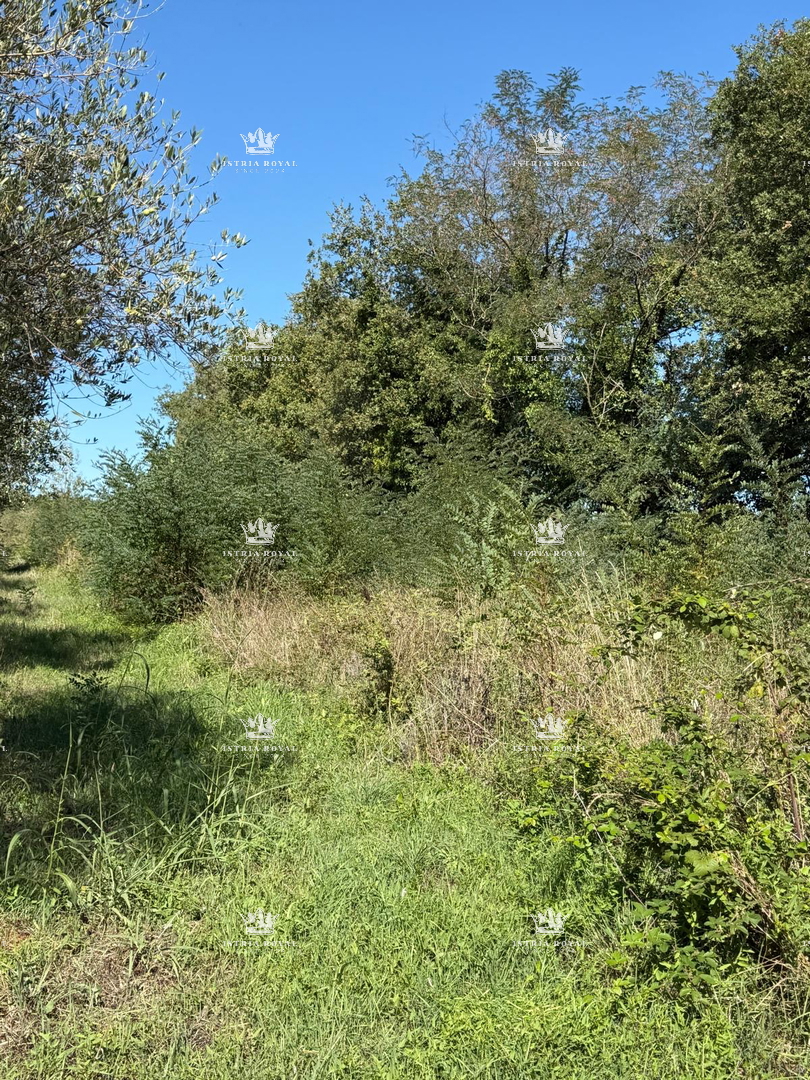 Istra, Lovrečica, landwirtschaftliches Grundstück 797 m2, – 3