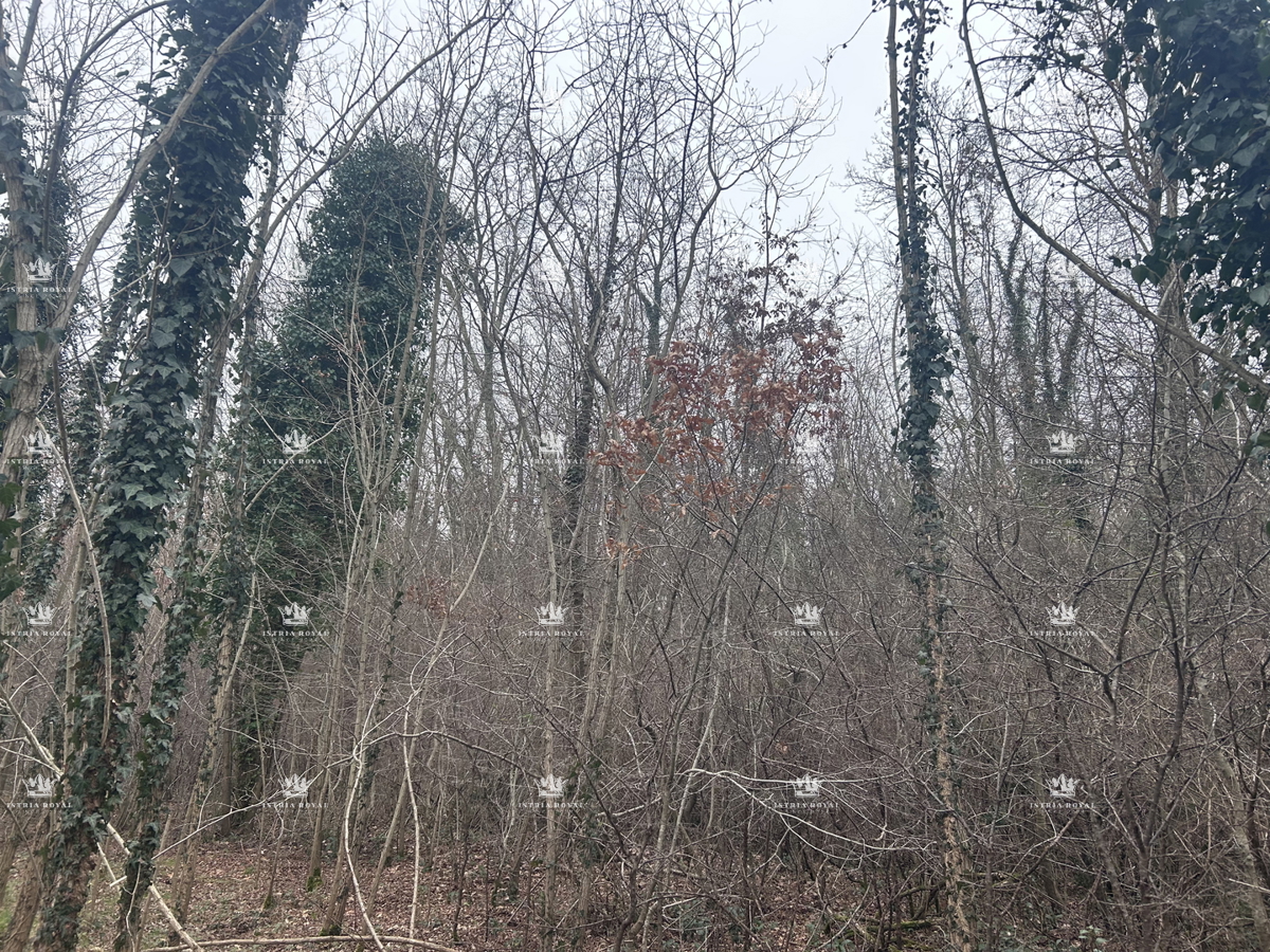 MATERADA