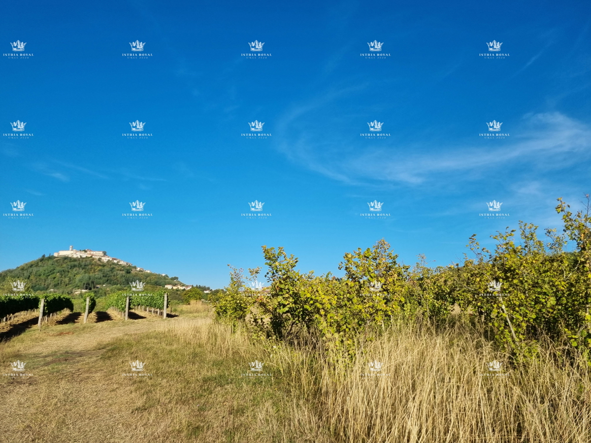 MOTOVUN
