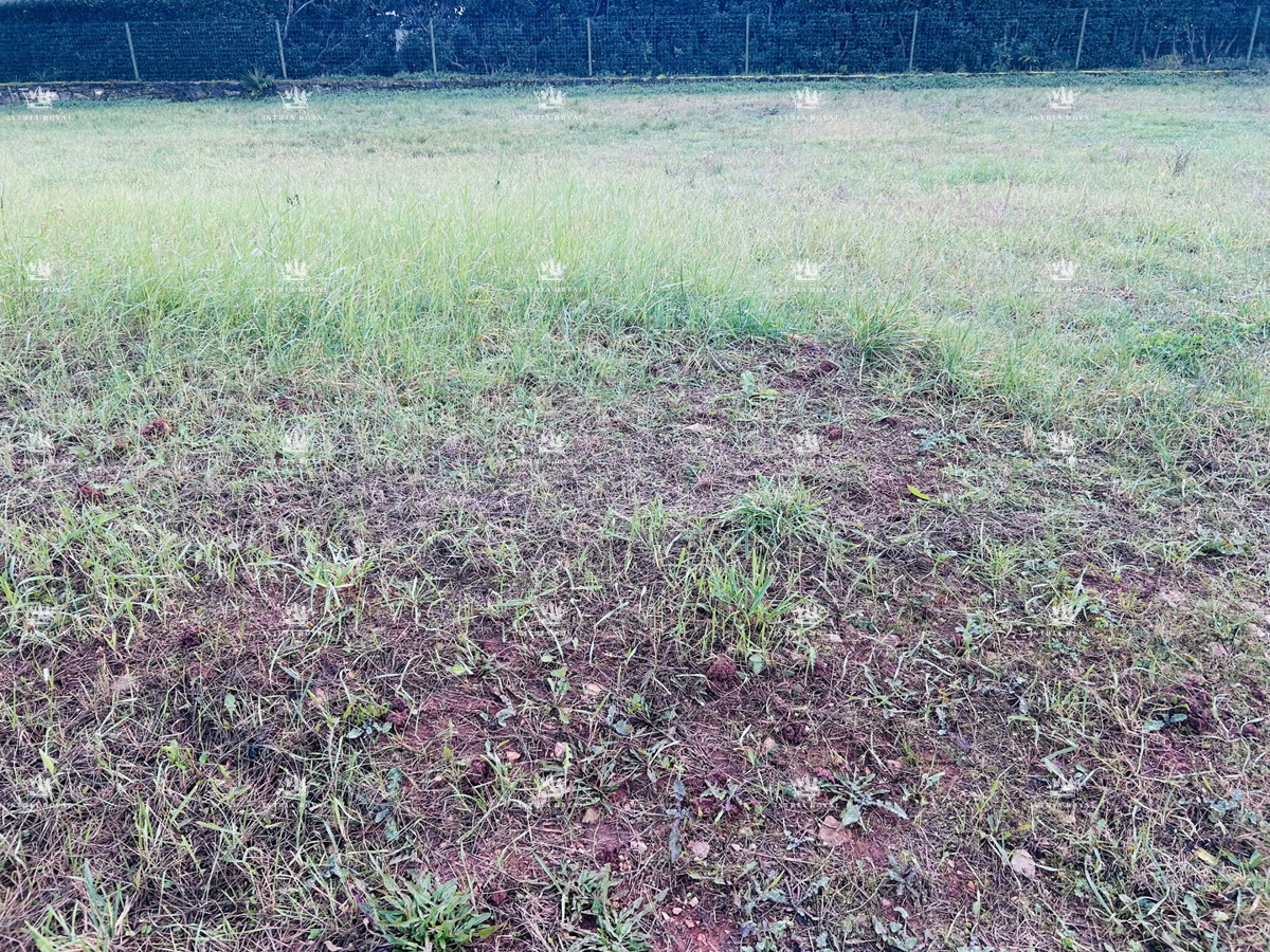 Terreno UMAG, 160.000 €