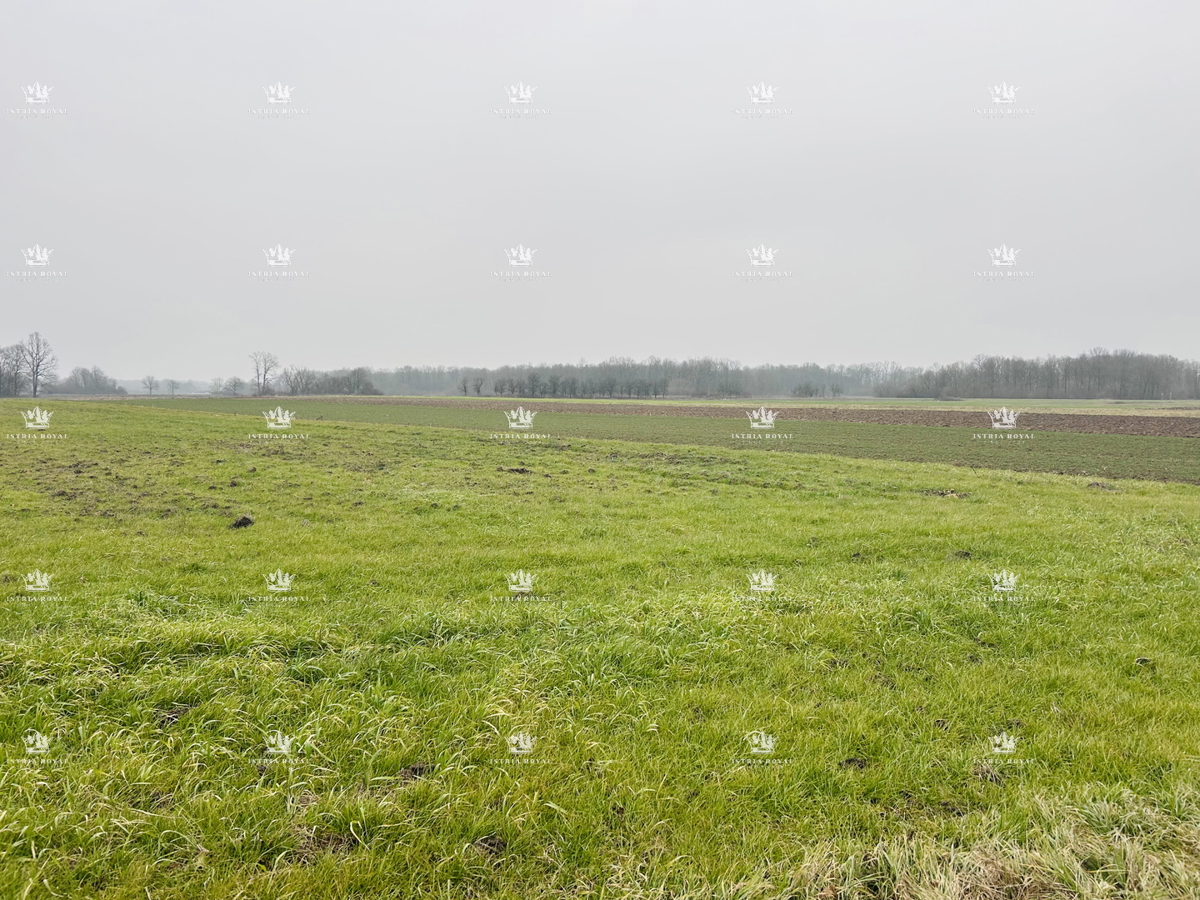 SLAVONSKI BROD