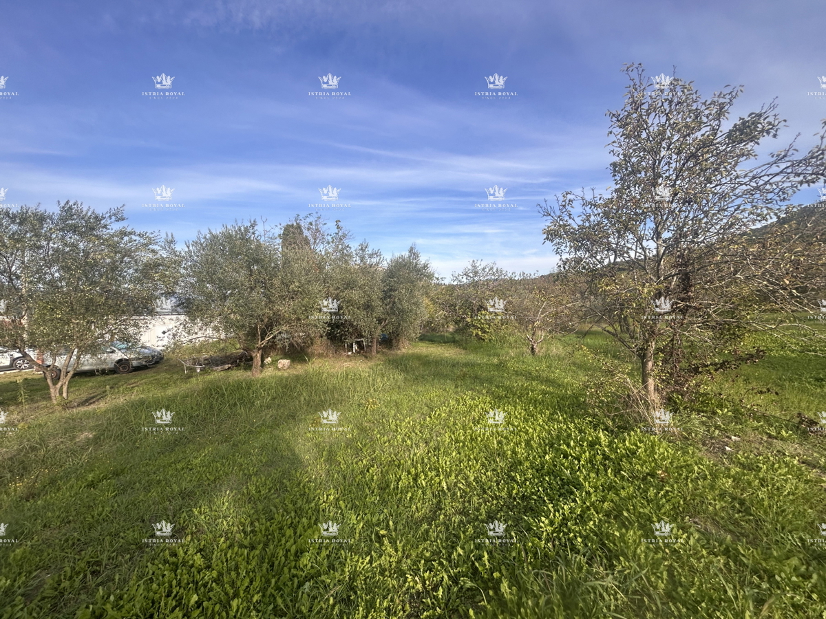 Istra , Motovun , gradjevinsko zemljište 2600m2, za 3 vile , voda i struja na parceli , otvoren pogled na Motovun , – 3