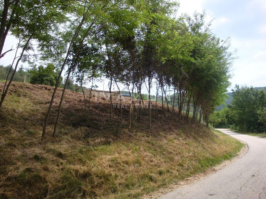 MOTOVUN
