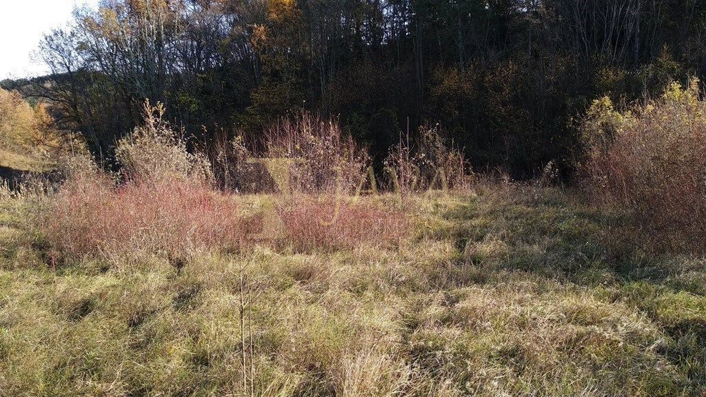 SOVINJAK