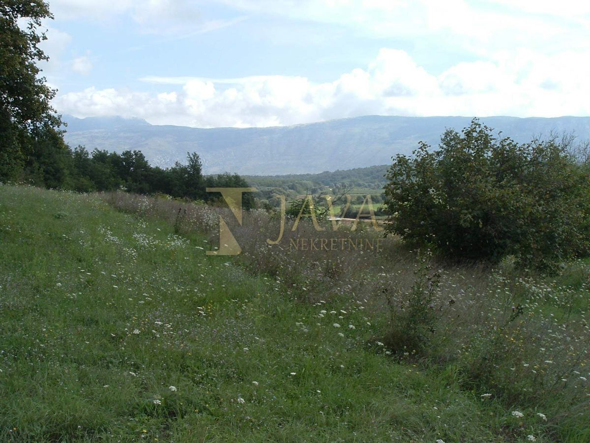 POLJE ČEPIĆ