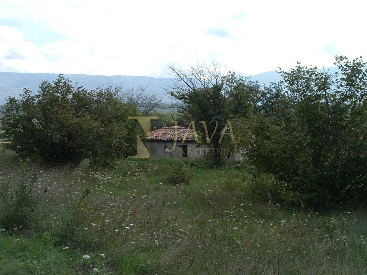 POLJE ČEPIĆ