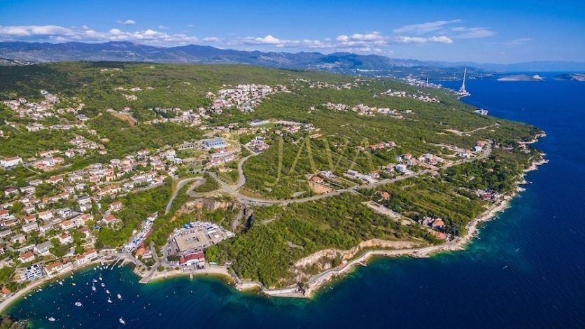 PLEŠIĆI