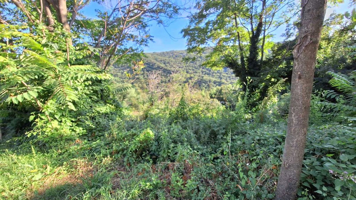 BAKARAC