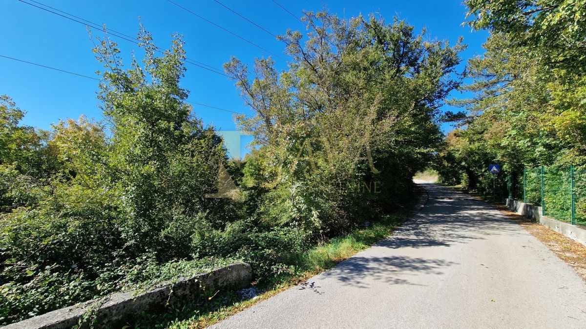 ČAVLE