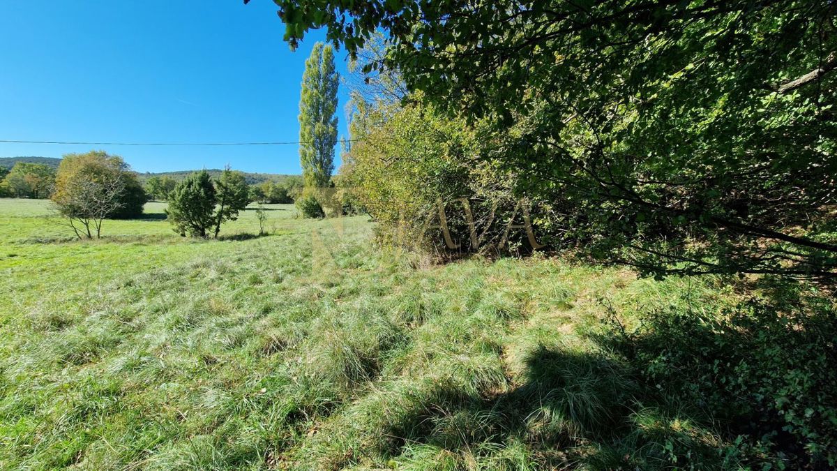 ČAVLE