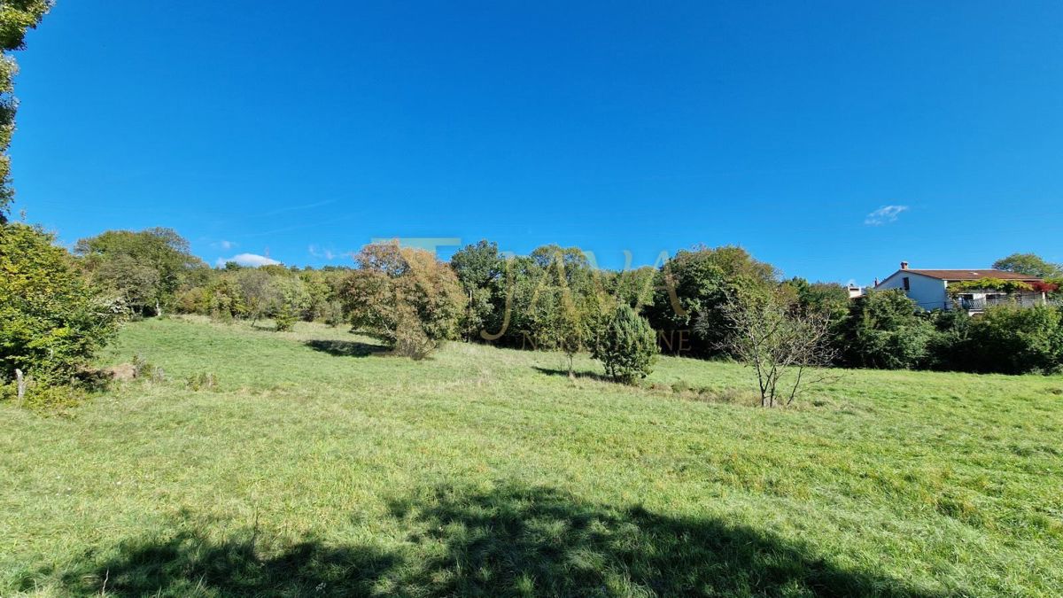 ČAVLE