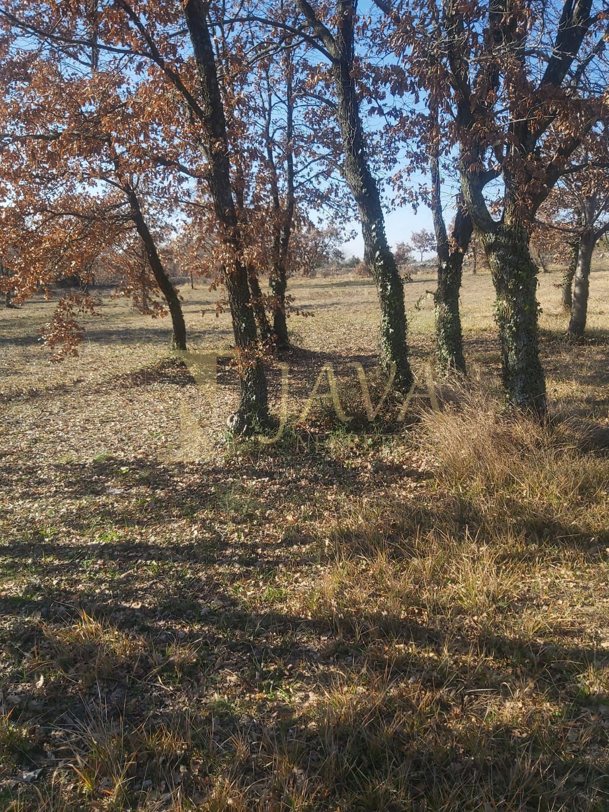 SMOLJANCI