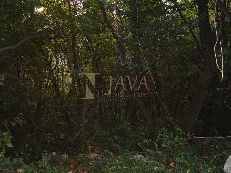 IČIĆI