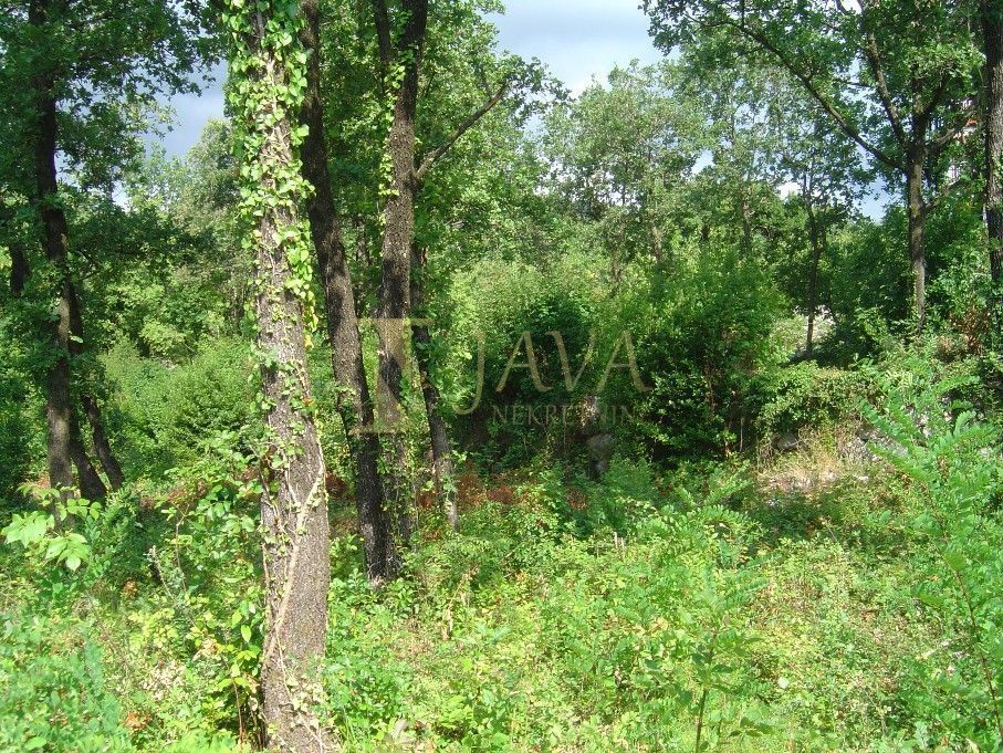 IČIĆI