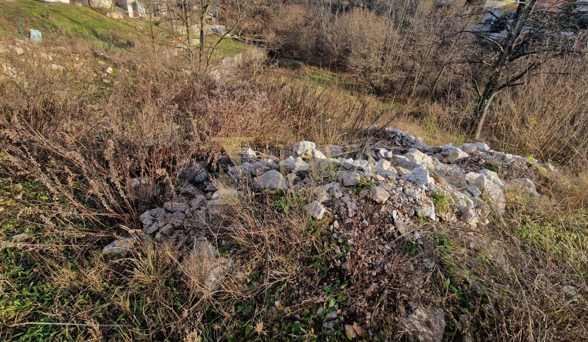 MARČELJI