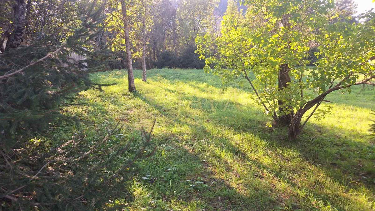 LIČ