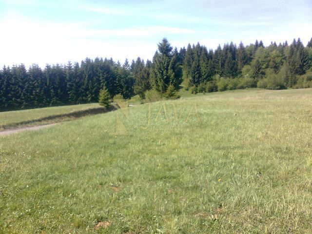 RAVNA GORA