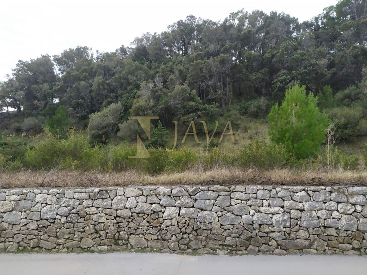 SUPETARSKA DRAGA
