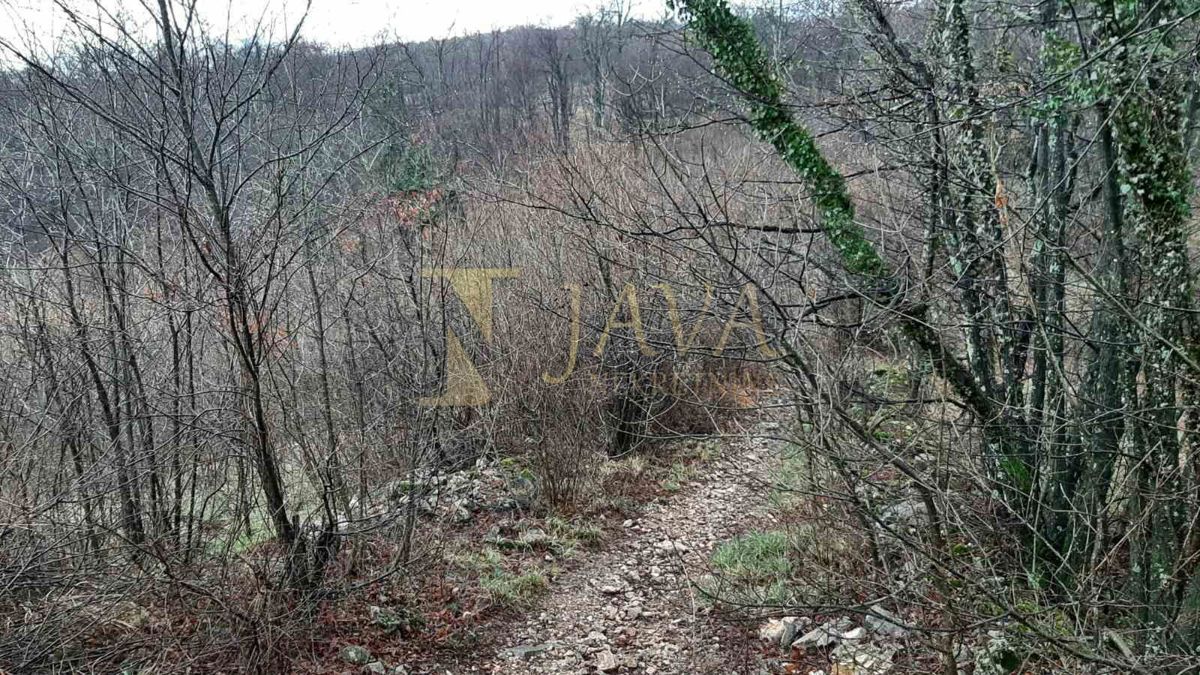 DRENOVA
