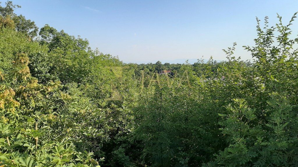 DRENOVA