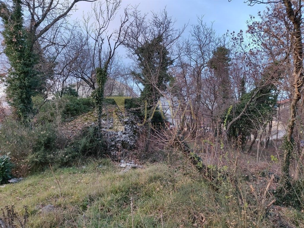 DRENOVA