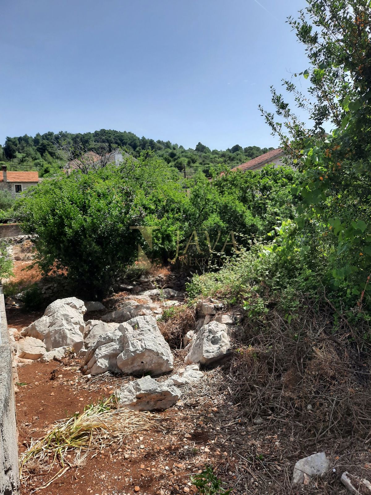 VELI IŽ