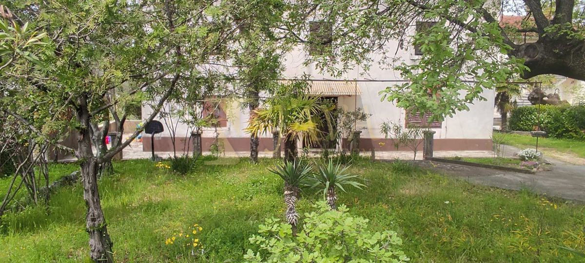 MALINSKA