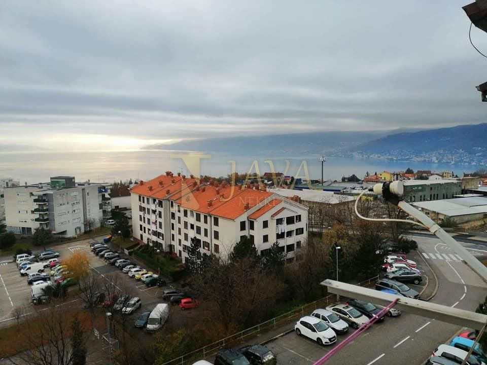 SRDOČI