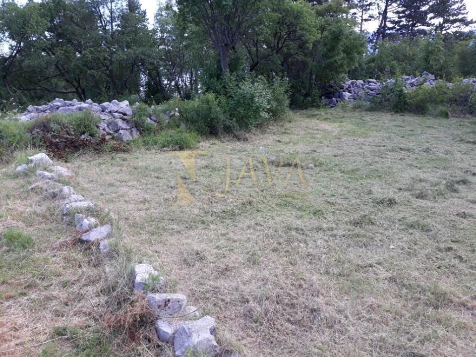 SRDOČI
