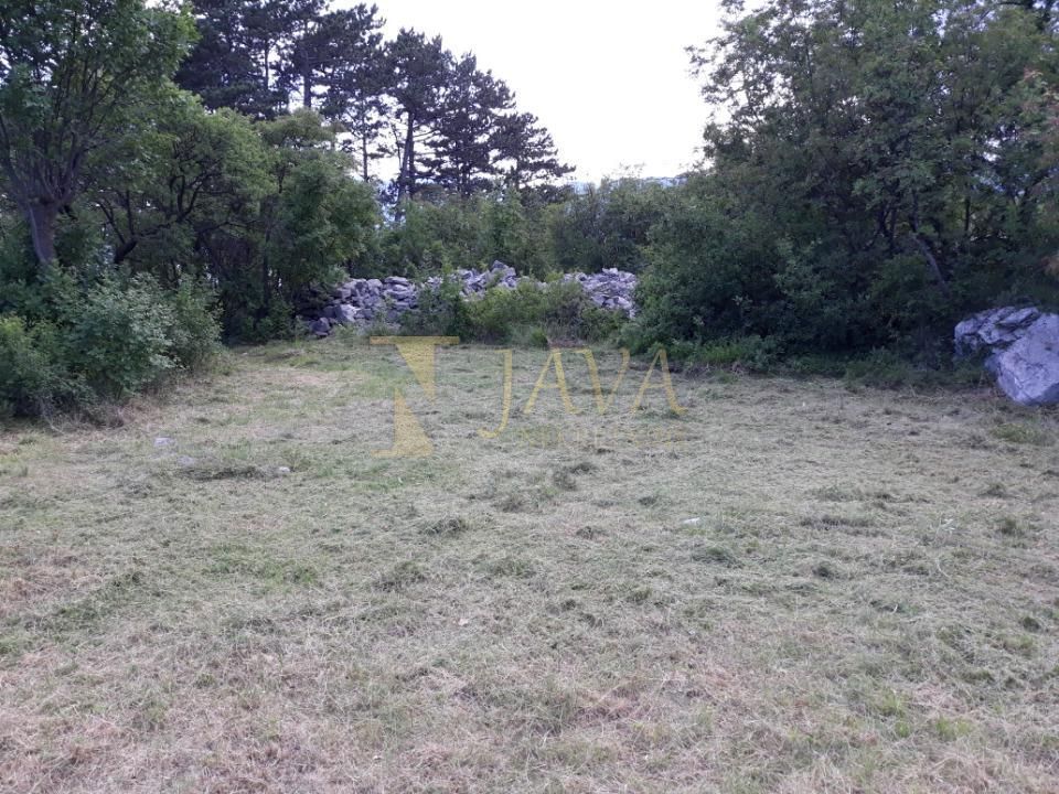 SRDOČI