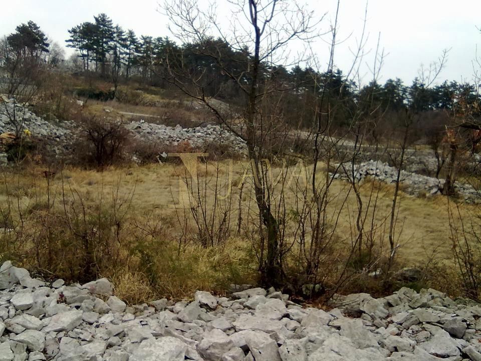 SRDOČI