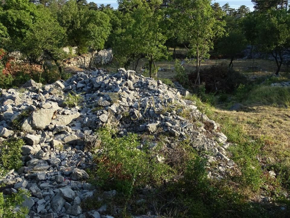 SRDOČI
