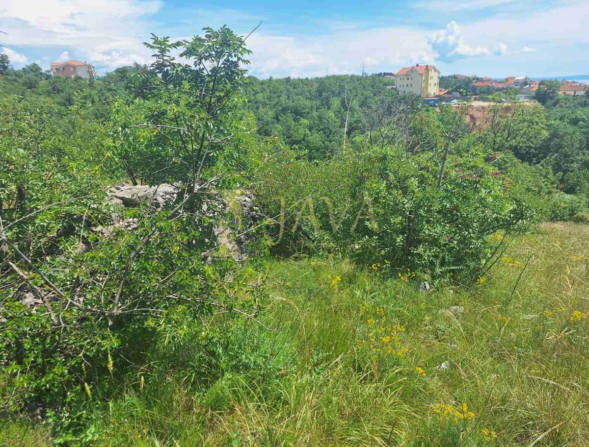 MARINIĆI