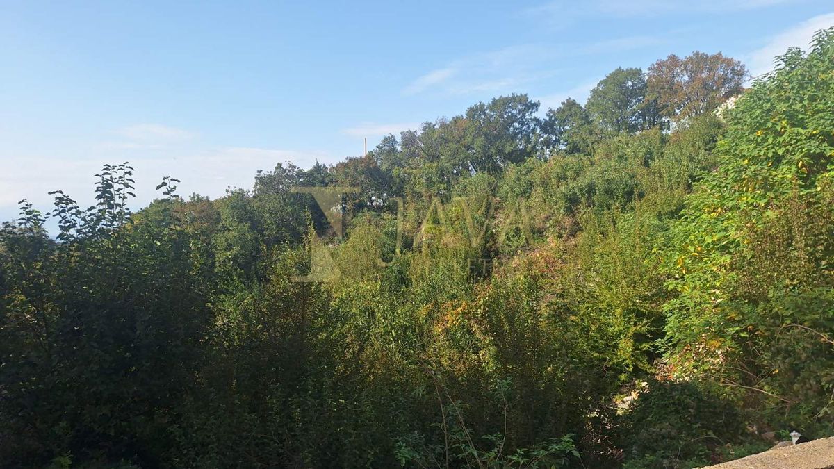 KRALJEVICA