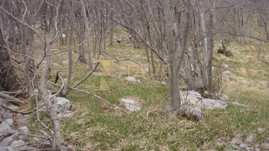 Terreno JELENJE, 51.500 €